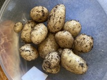 7C0E9D7C-4ECD-42B8-B9CF-93F89E45E52D