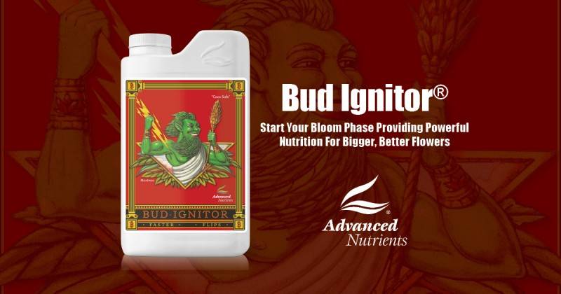 Bud Ignitor