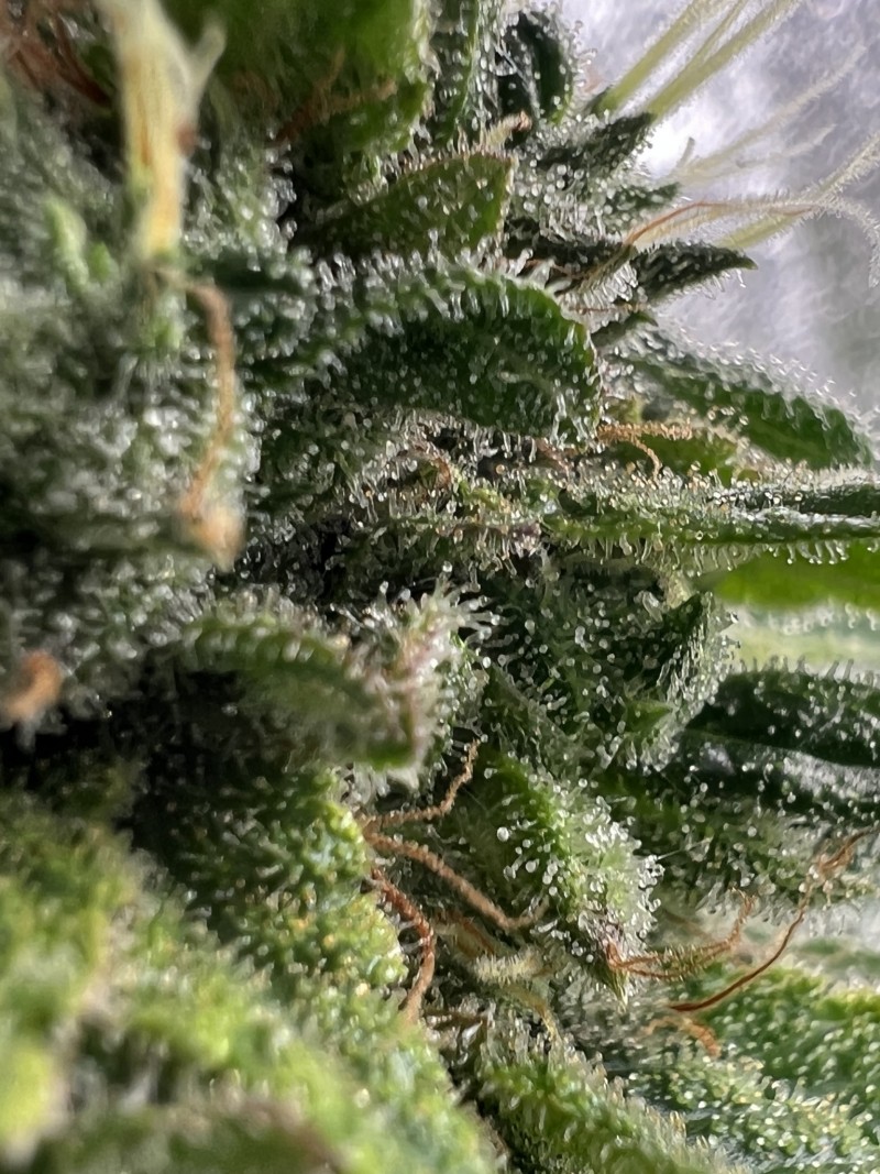 89E8AFBF-9CAB-4DF4-A5FC-302D1FF07104