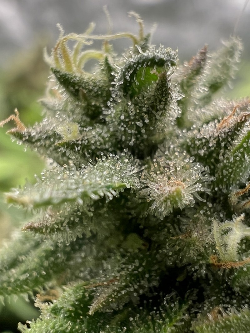 37FBE1C8-306E-4198-95AA-A21C3FF9626F