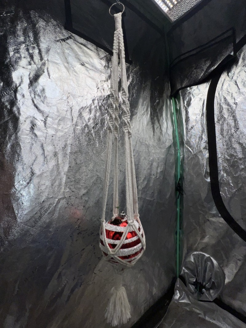 1FA76896-D236-42BA-BCB2-BD329AD633D8