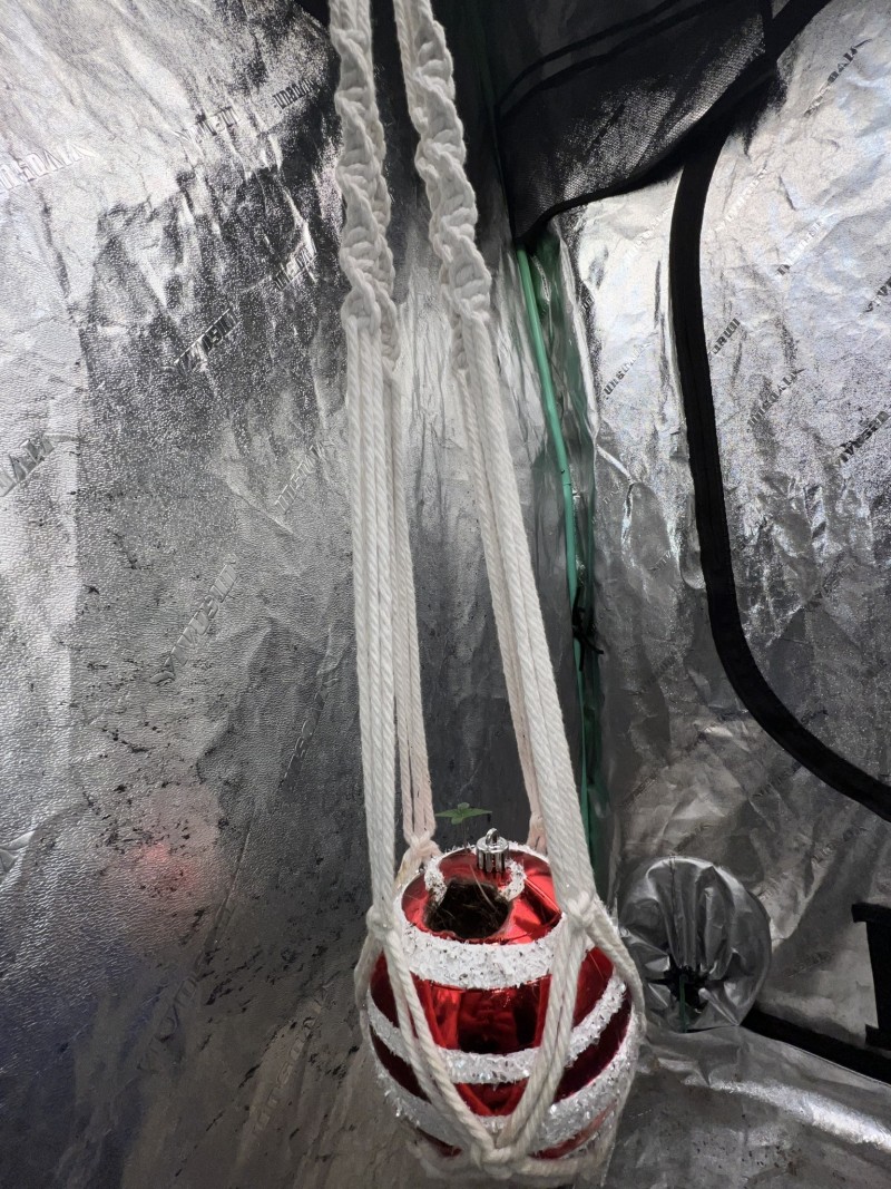 F712161B-6D0D-4B65-8023-B2D2784ED47D