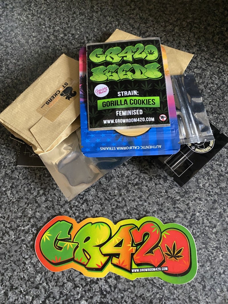 BEBC9EA7-6E85-459E-A3BD-D26D6CB22BF5