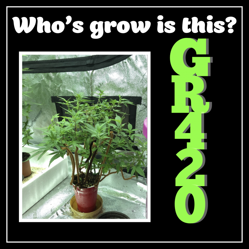 8B9241A8-55EC-4425-B359-4381424333E0