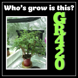 8B9241A8-55EC-4425-B359-4381424333E0