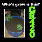 7D1EADB7-FB4D-4B68-BF9D-215E3AD84D7C