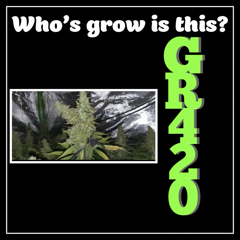 847B510D-3913-40BE-8BBF-B0E7FC62E1D1