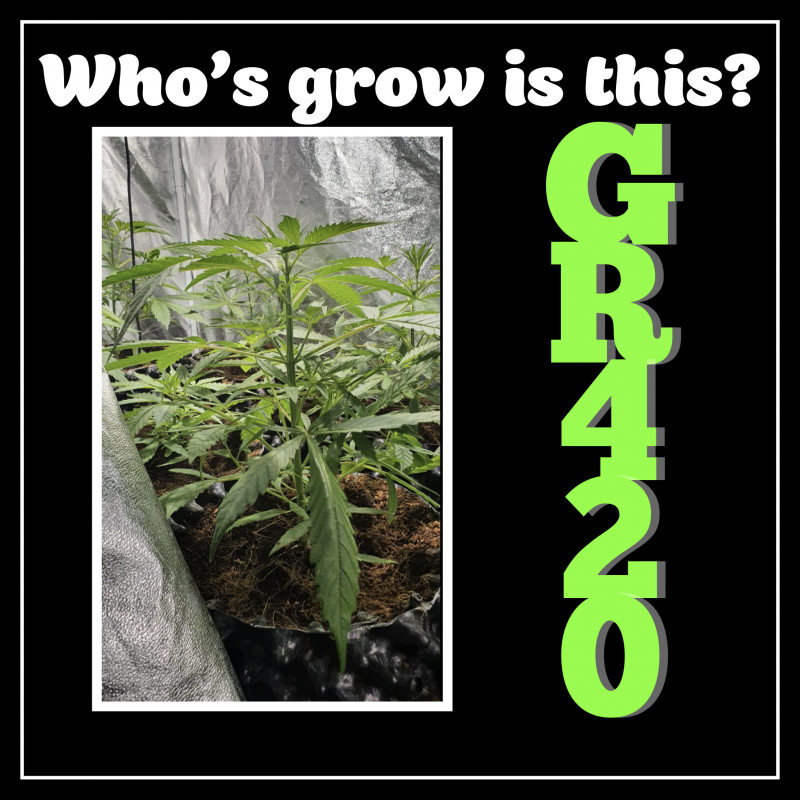 7D9B514E-15BB-4625-BB7B-DD4E7FA6E247