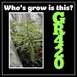 7D9B514E-15BB-4625-BB7B-DD4E7FA6E247