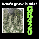 45B08E8C-A176-4D0D-A945-DE2E40AE08F6