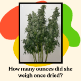 40356326-D0DC-49B0-837D-650D470794F2