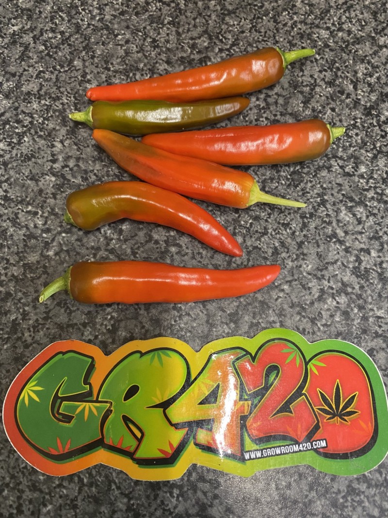 FEA918B6-6894-42FD-BA65-AFB426A589FF