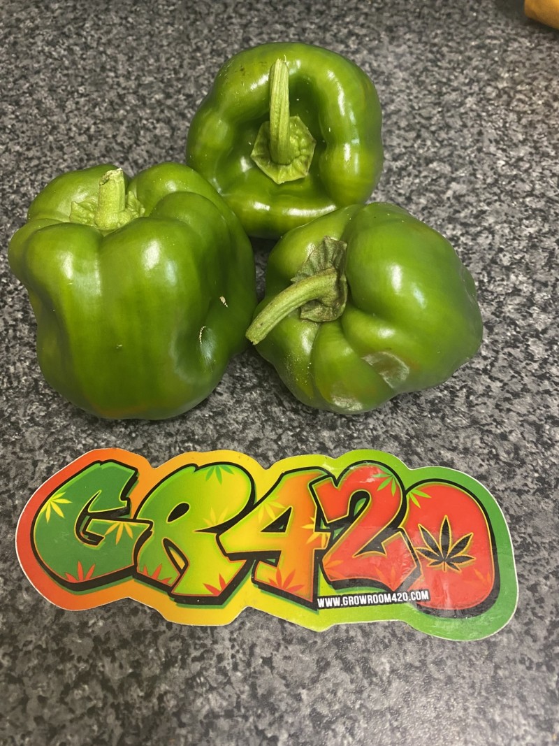 D722FA14-865D-405C-947C-1FDA91B7CCEB