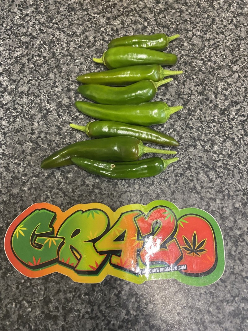 3B72F6B9-BABD-4CA6-816C-E5D0EE5737EB