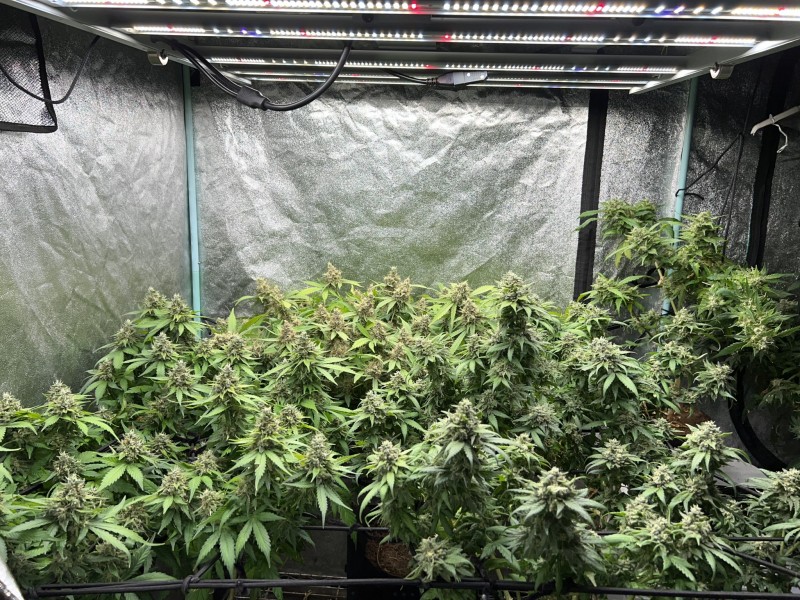 4FC9F21D-0DD4-46AC-BAEA-E14CFC447775