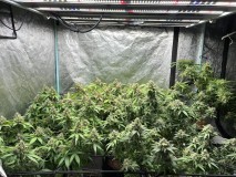 4FC9F21D-0DD4-46AC-BAEA-E14CFC447775