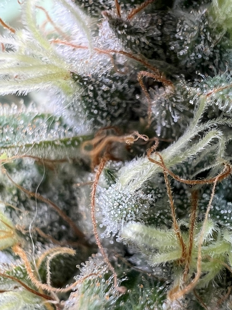 0FBCD731-3218-4D33-94DC-CAA0BE698B08