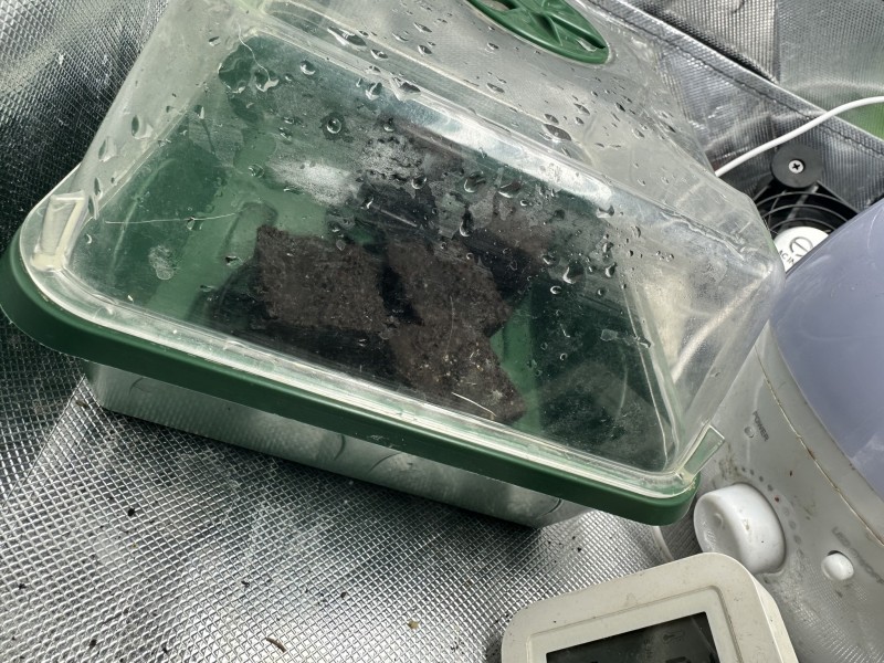 2C562626-A56A-4226-81F4-7ED08C31D82A