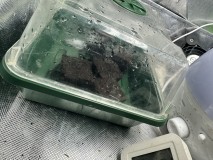 2C562626-A56A-4226-81F4-7ED08C31D82A