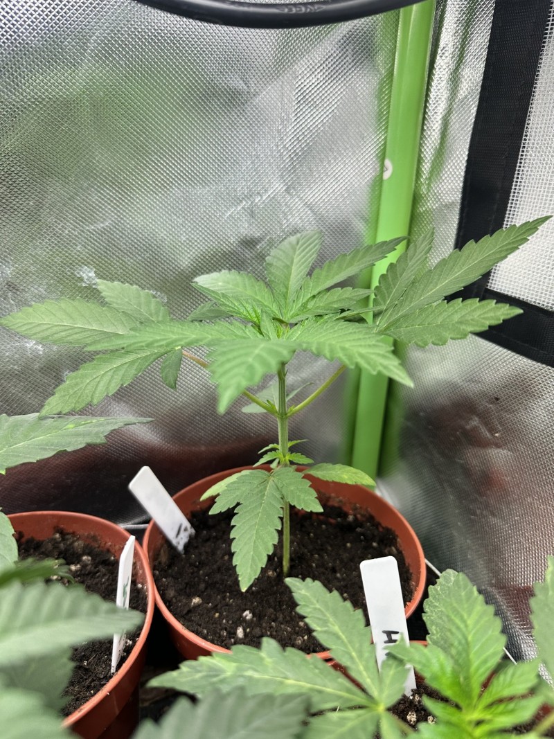 99174E69-D20D-4467-8849-5F024F8F8C41