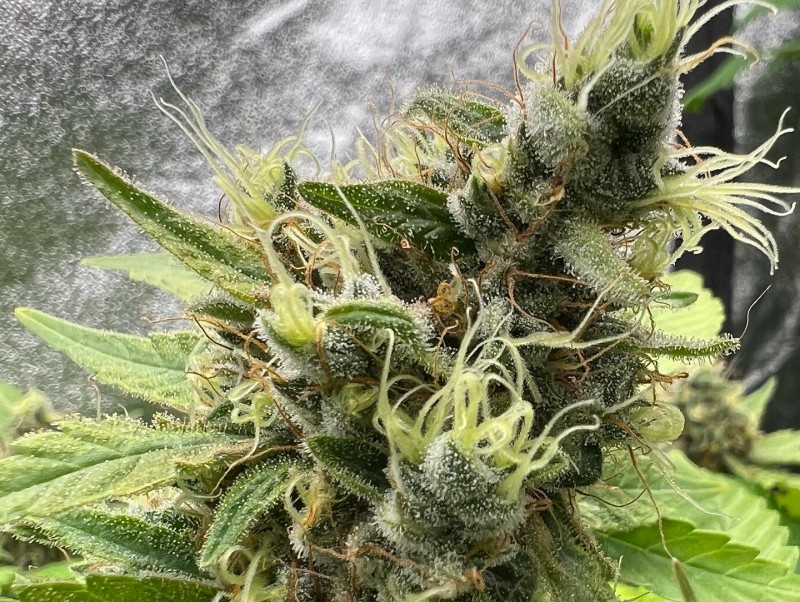 EC754EBA-944A-414E-8C01-4BA8685B0B48