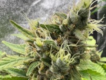 EC754EBA-944A-414E-8C01-4BA8685B0B48