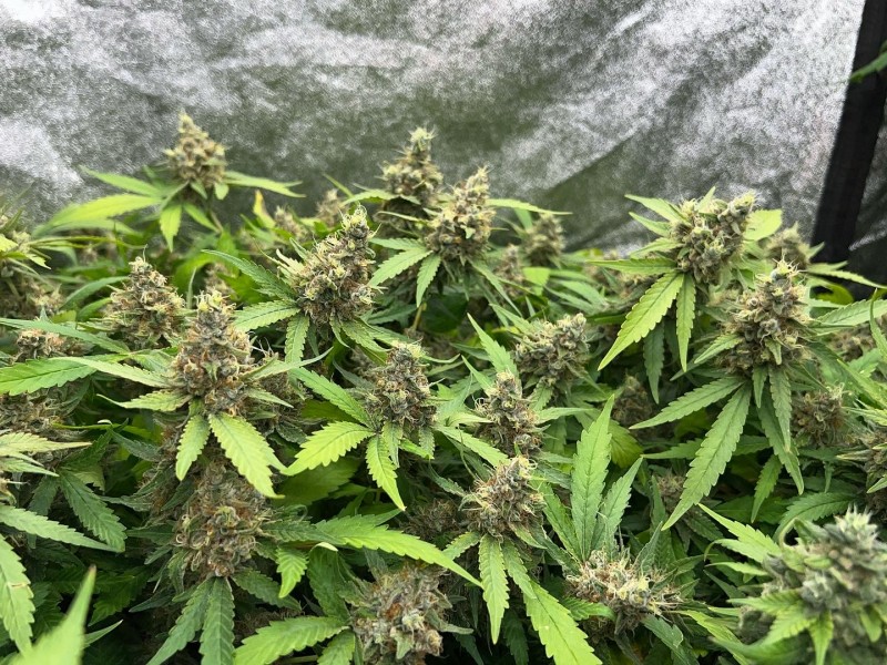 B698400D-2A87-41B1-A01A-55612FE9AB05