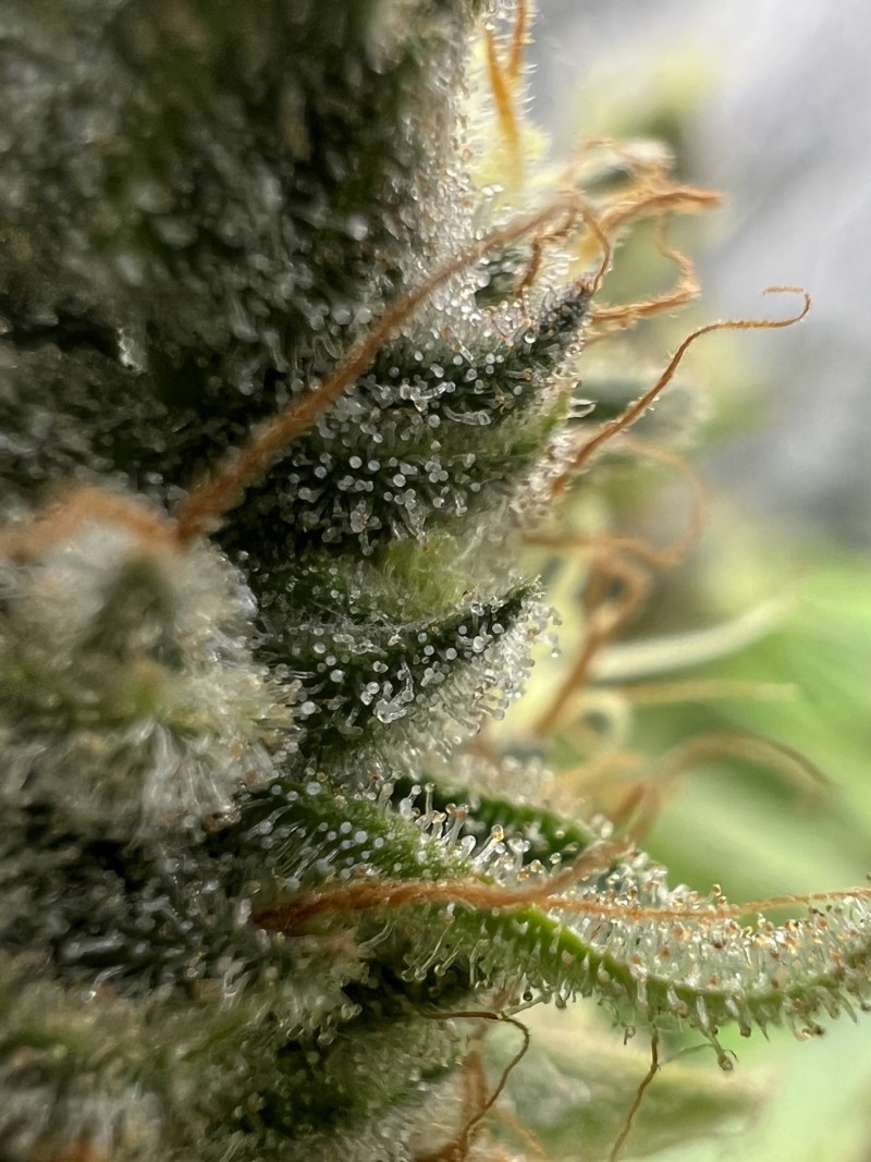 3CB8751E-6BCE-4A28-987B-3184F5EA9E9F