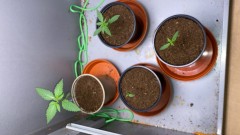 D24E42C6-A6D0-4D55-AAA5-B3103EA8068A