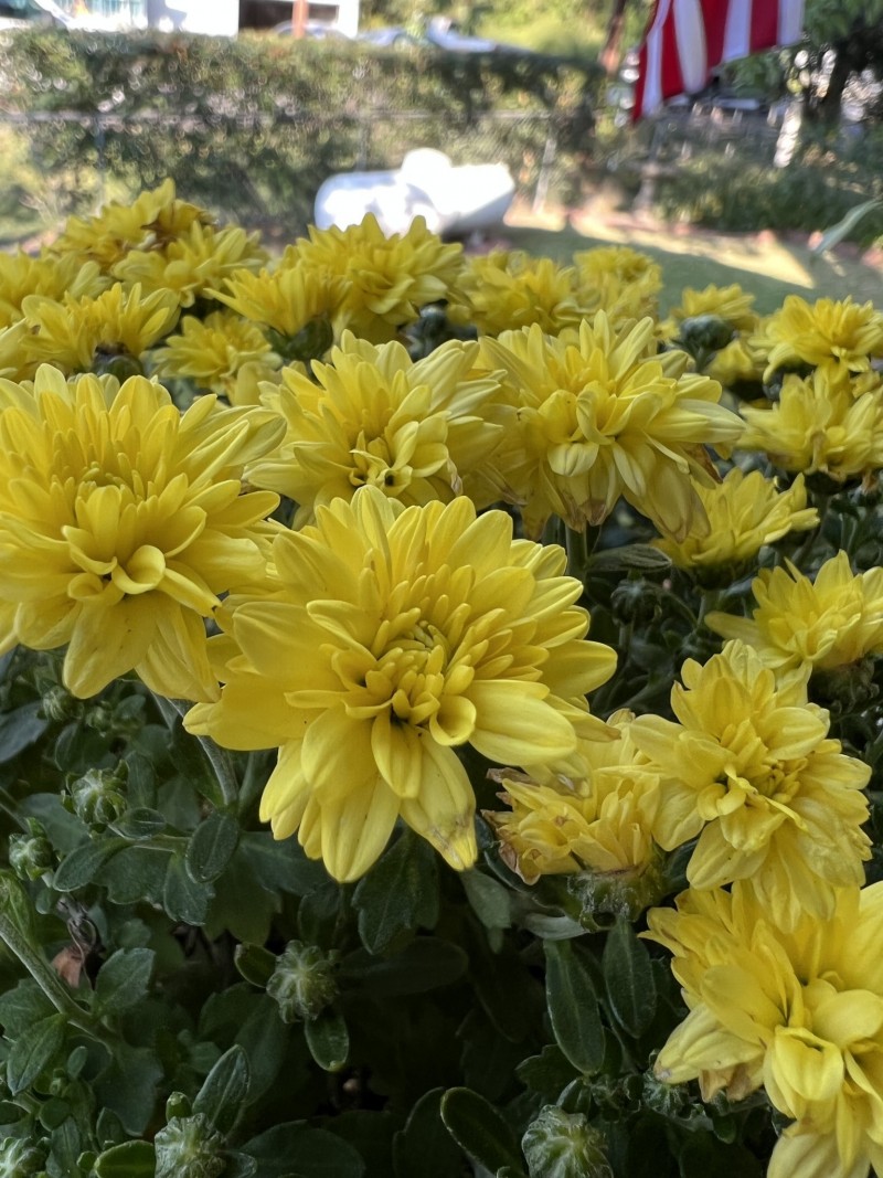 419D8AB6-A655-46DB-BECB-D8A9D65B591D