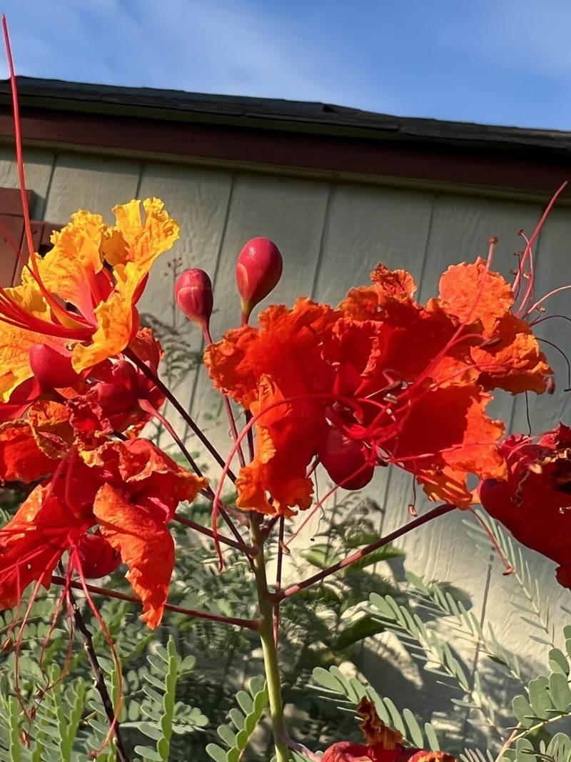 61AE39E1-EA44-4BB0-8E25-D671BCDB845E