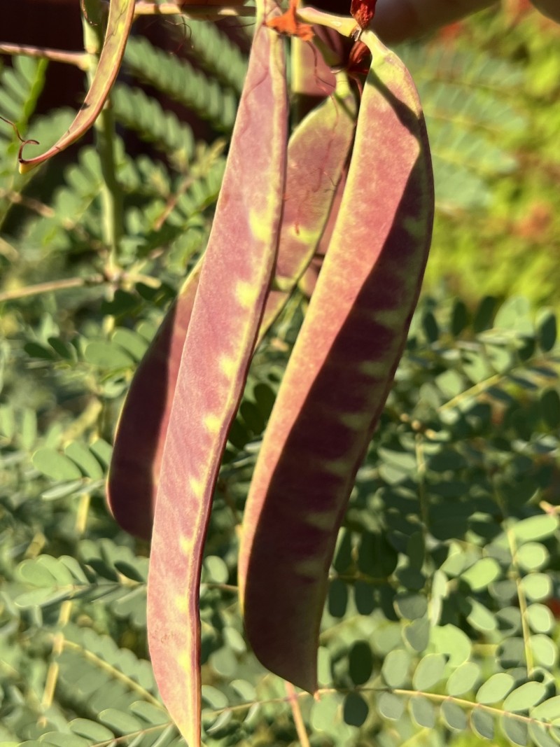 C6A6C4EE-106F-4C48-8A26-5DEB26F15AD5