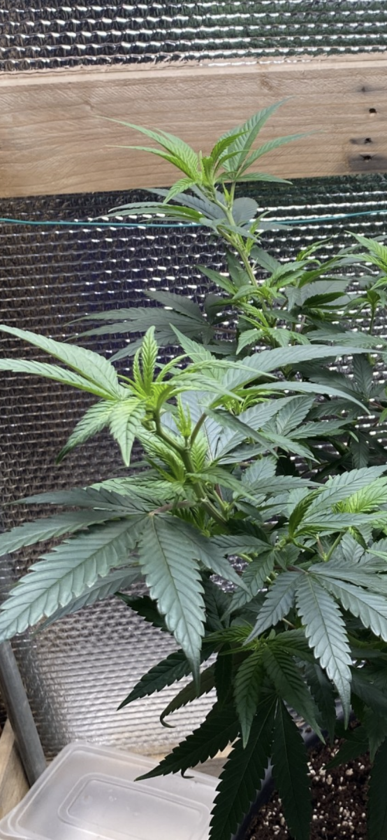 4C768D3B-4CD1-4239-9EEE-DC468410F9F7