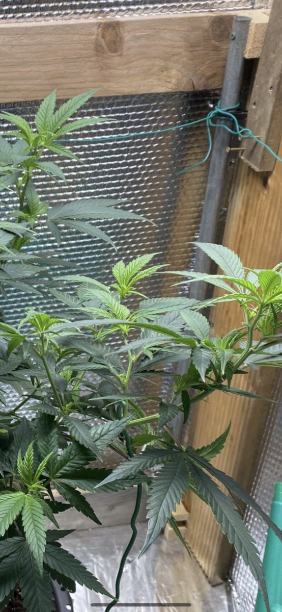 603CFD65-A0E8-4825-B99D-853B212B1EF9