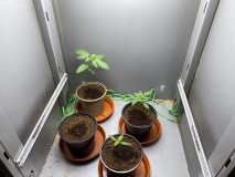 0BC66E5A-C10C-4D37-A11E-39E366E0AB5D