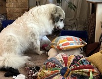 9D68B1E0-9F35-4F79-B22C-7163E8616CE1