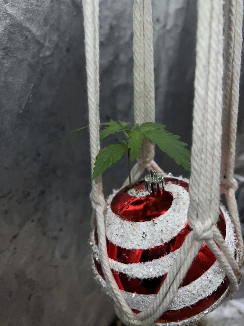 7C556423-6A53-4D20-A527-1422CE60E98A