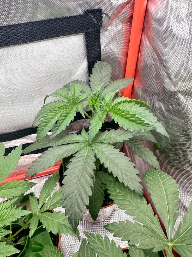 ECB0A755-AD01-4816-8897-FFBD53997FBC