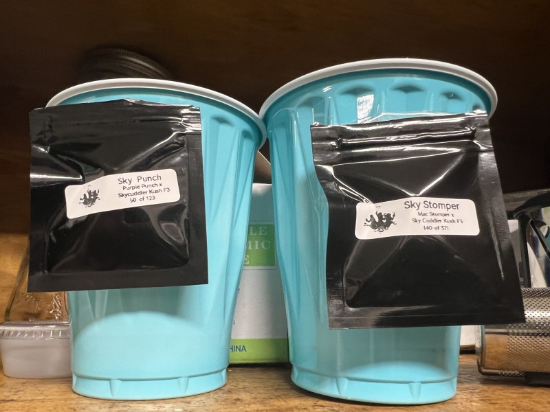 5E25AD83-A372-4960-9B7E-912BABBA5990