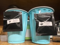 5E25AD83-A372-4960-9B7E-912BABBA5990