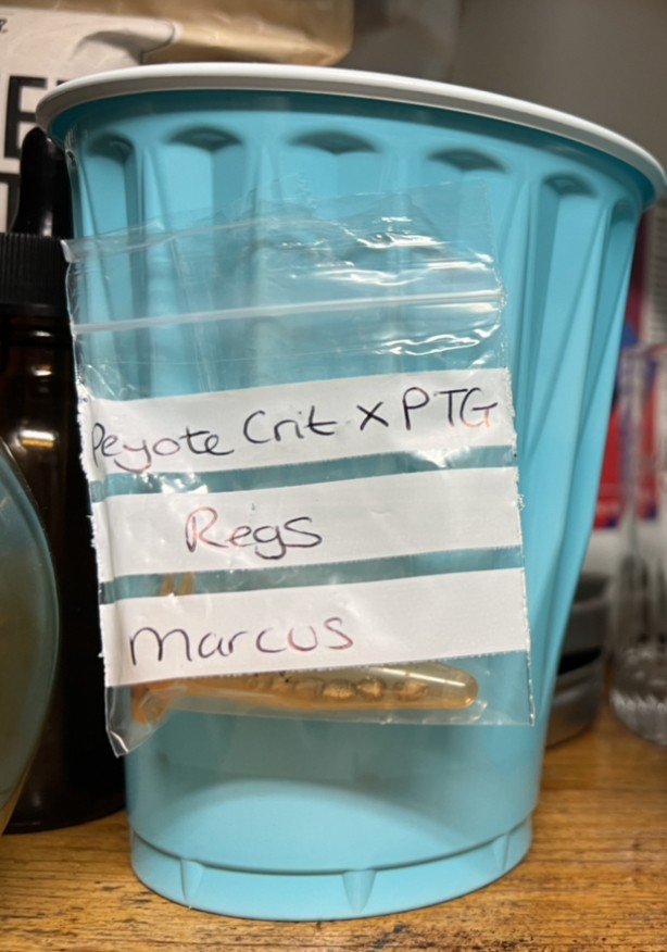 7E84E838-FCFC-4014-8E7D-47DFF7B72D5F