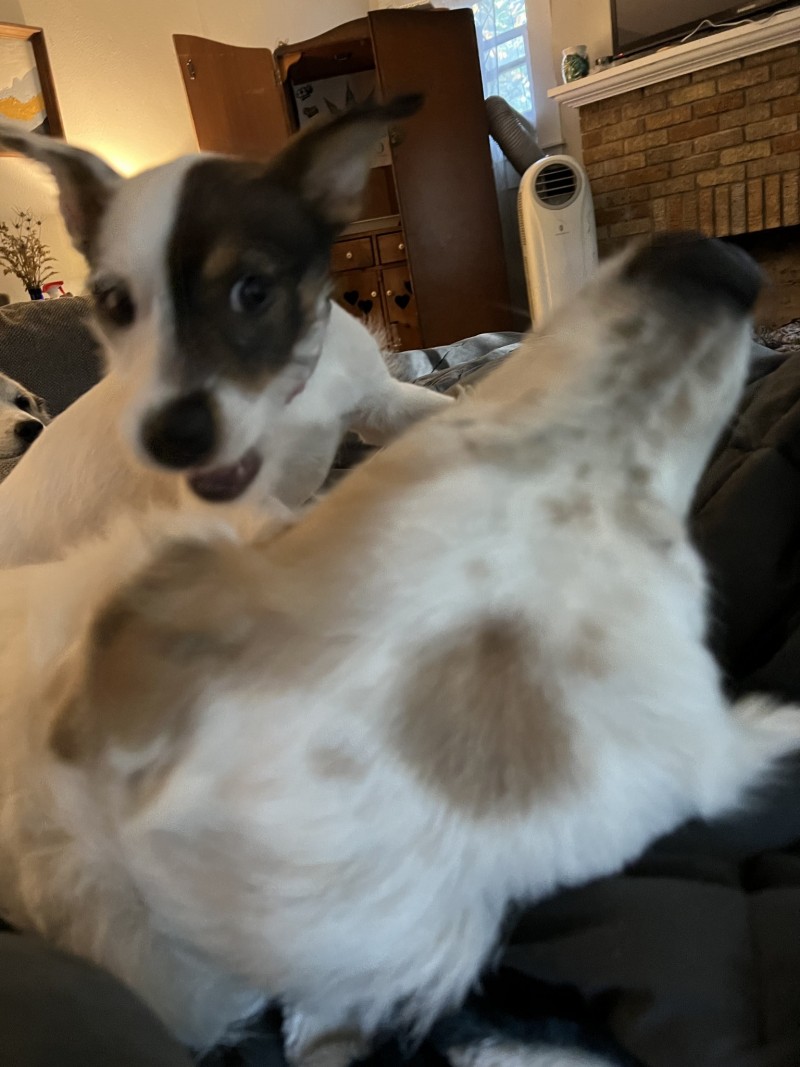 D1C83885-9CC5-4299-9A0C-F435A9D37CFF