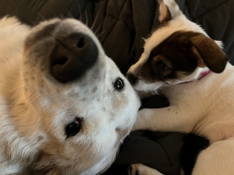 1A4664D9-631E-4B5F-80B0-FD63EEA7EE69