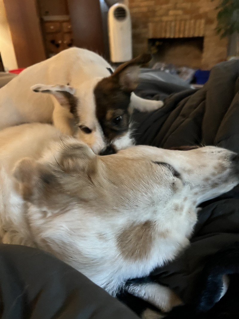 AB0D5F10-0E7E-4ACA-8257-819662BB05BA