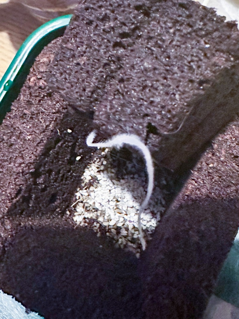 5B6326B1-F1F9-4BB2-944D-6CCC31D4093C