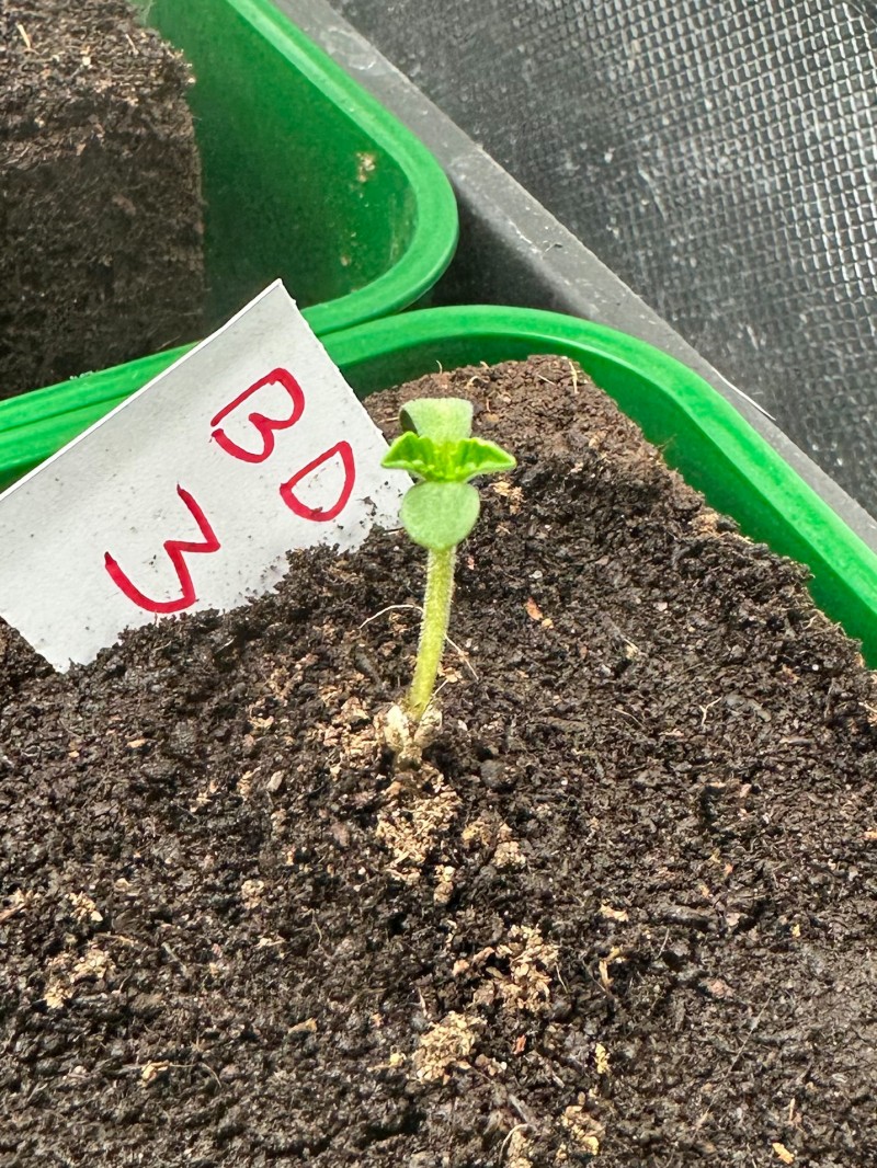 7ABF7508-2033-46C8-B6A3-B0A796FC8B6E