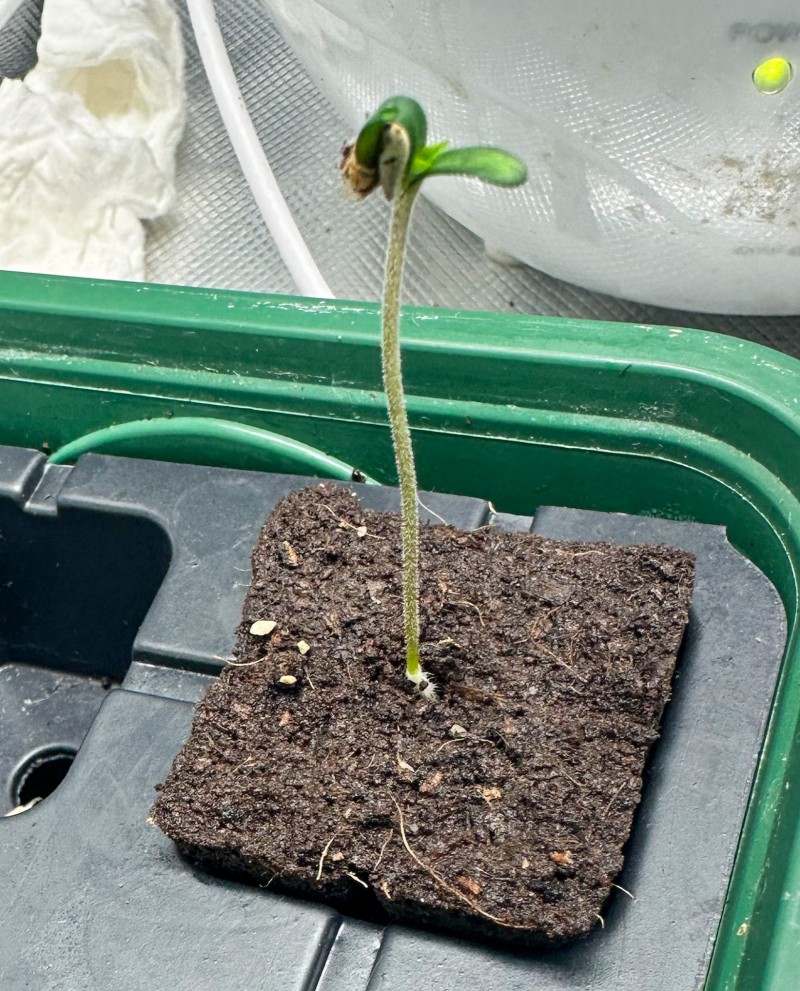 B165BCFD-5C6E-4A15-88DF-7CF3EA22D12C