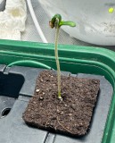 B165BCFD-5C6E-4A15-88DF-7CF3EA22D12C