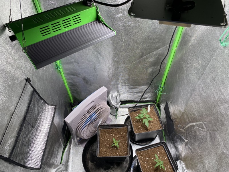 314542DB-C0FB-4344-95E2-97E51A4CE388