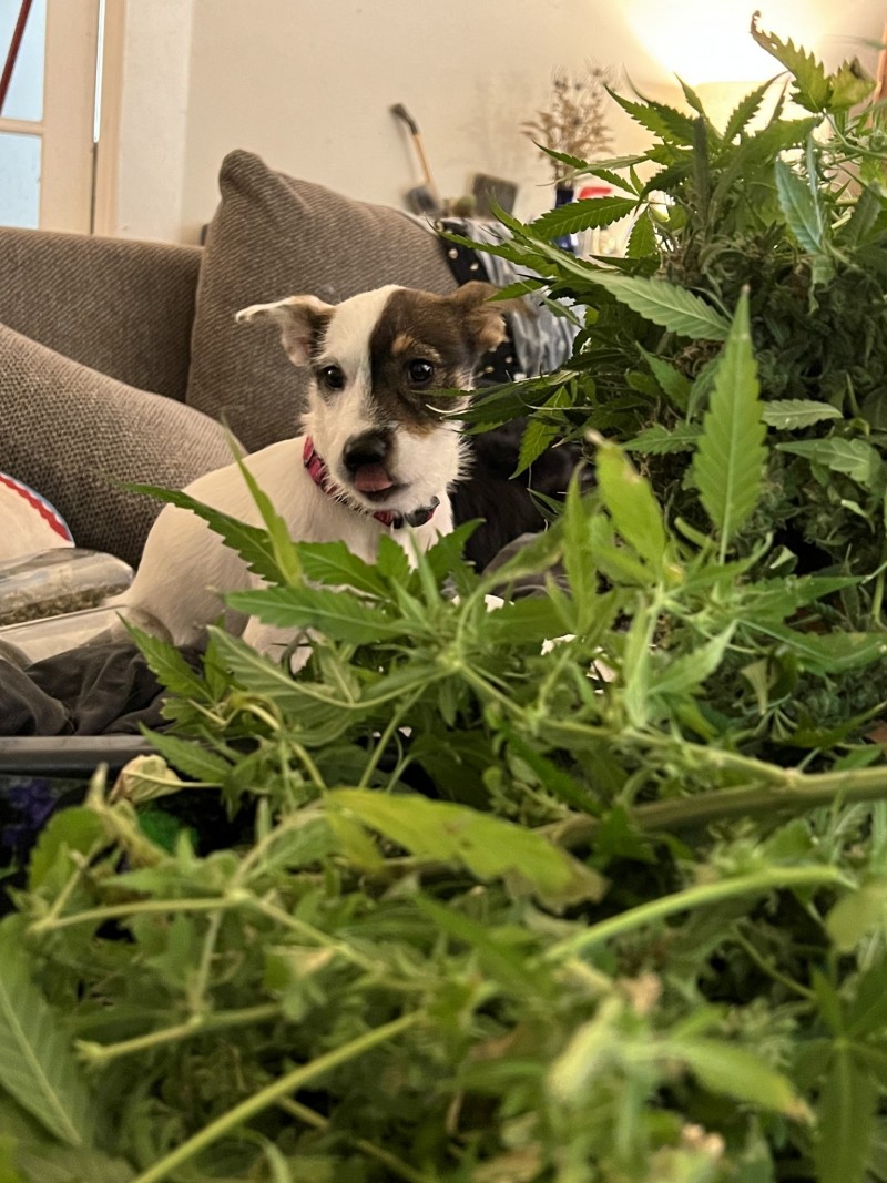 9567FA11-5CC3-4514-98D3-1C072DDCE8ED